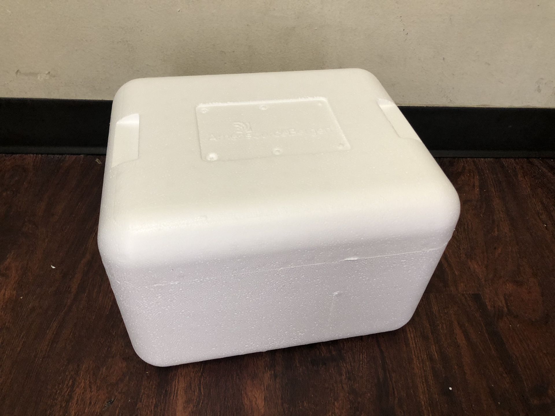 Disposable ice chest/coolers