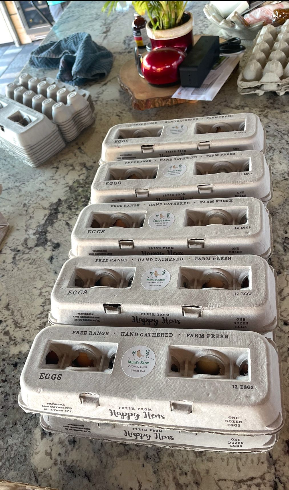 Organic Chicken Eggs 🥚 (1 Doz)