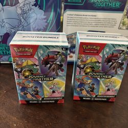 Pokemon Journey Together 