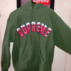 Supreme Icy Arch Hoodie