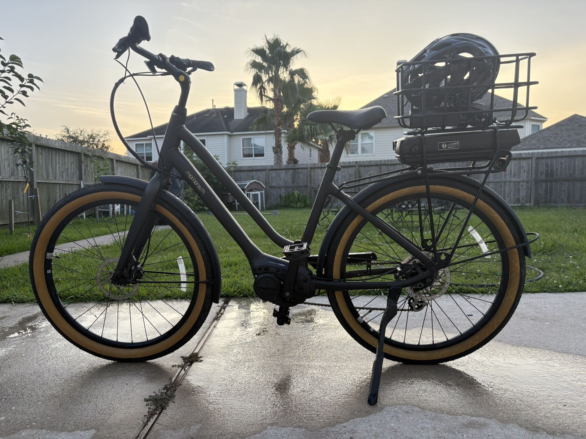 Momentum Electric Bike