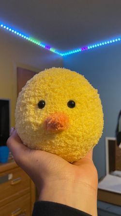 Handmade Chick Sock Plush