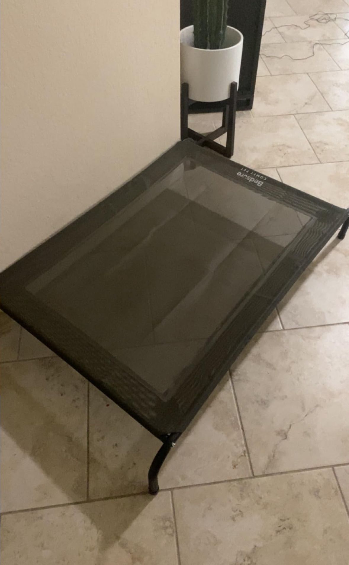 Elevated Dog Bed