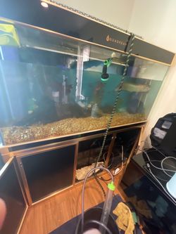 Aquarium glass used