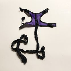 Small Pet Harness & Leash