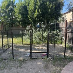 Dog Cage Outdoor Kennel