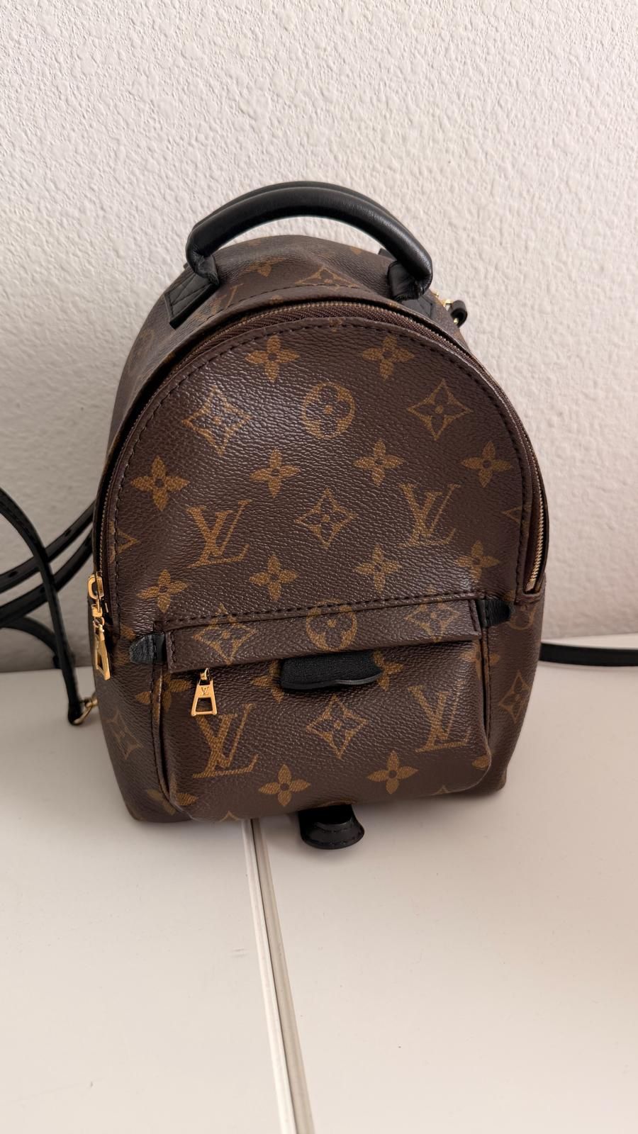 Louis Vuitton Plam Springs Mini 