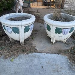 2 Concrete Planters 