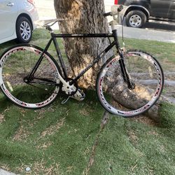 Micargi Fixie 
