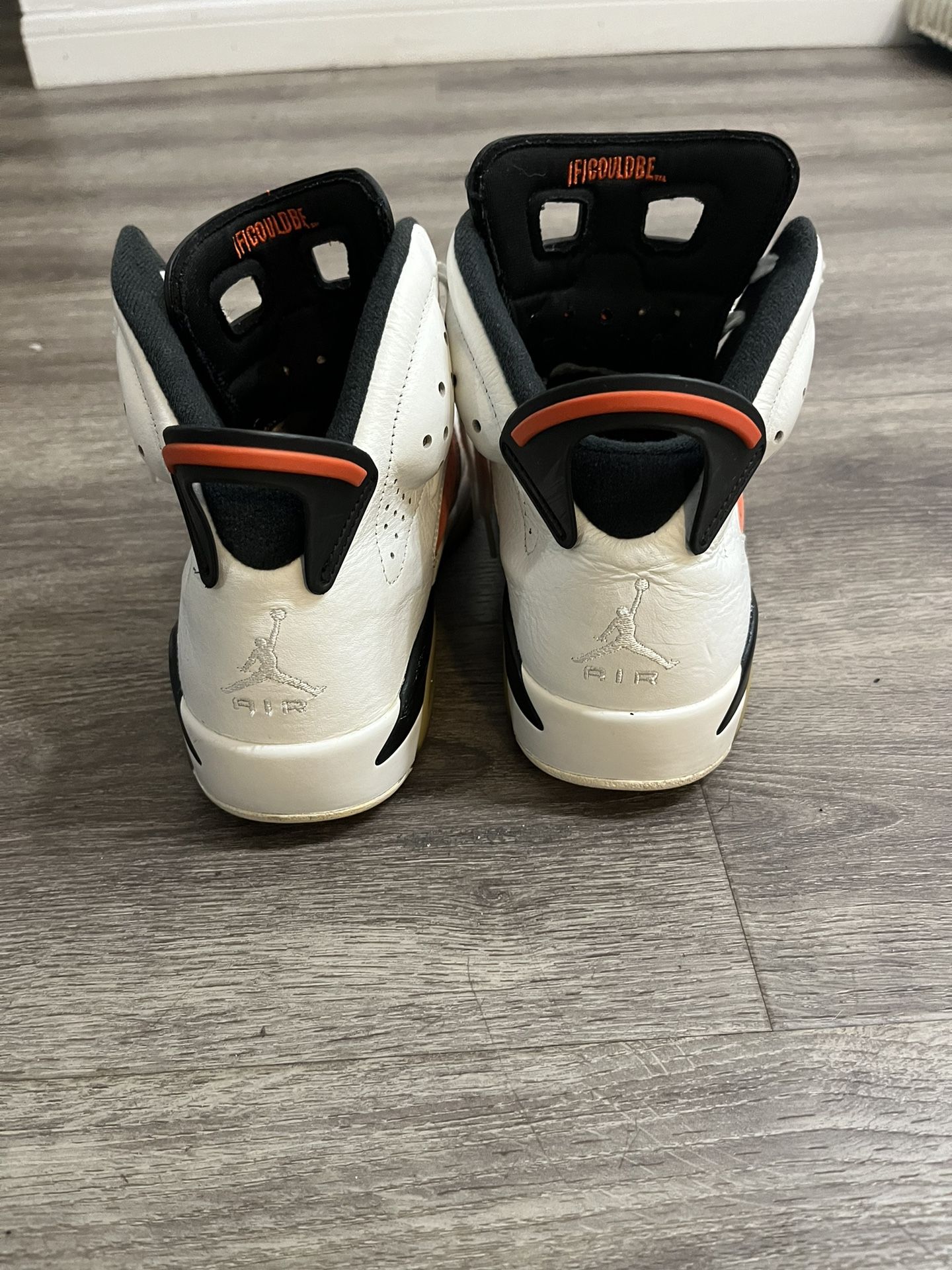 Gatorade Jordan 6s