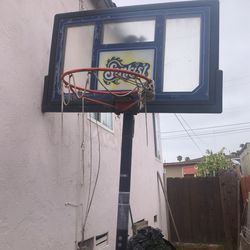 Basketball, net
