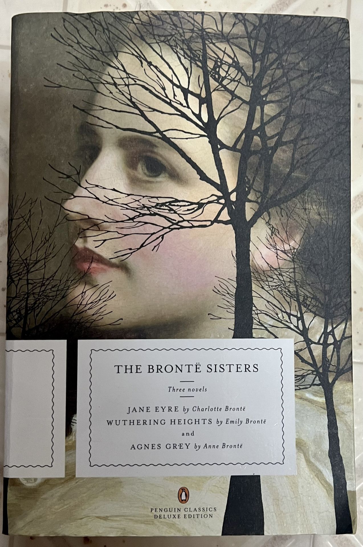 The Brontë Sisters