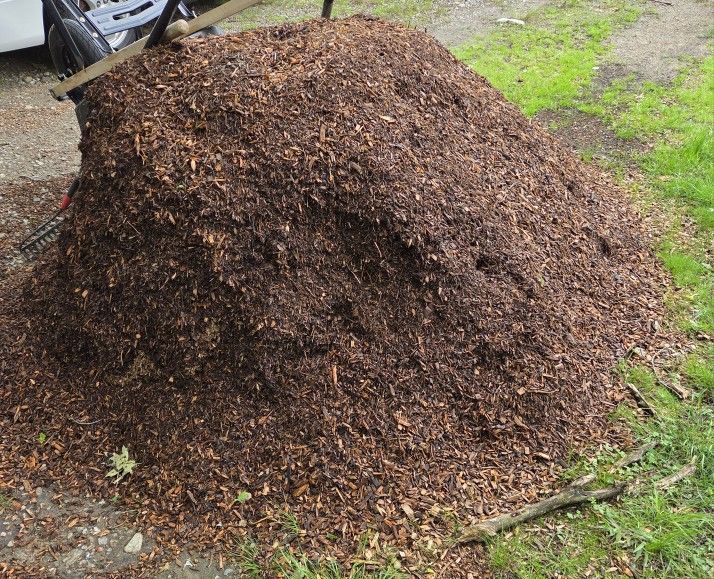Rhode Island Native Mulch