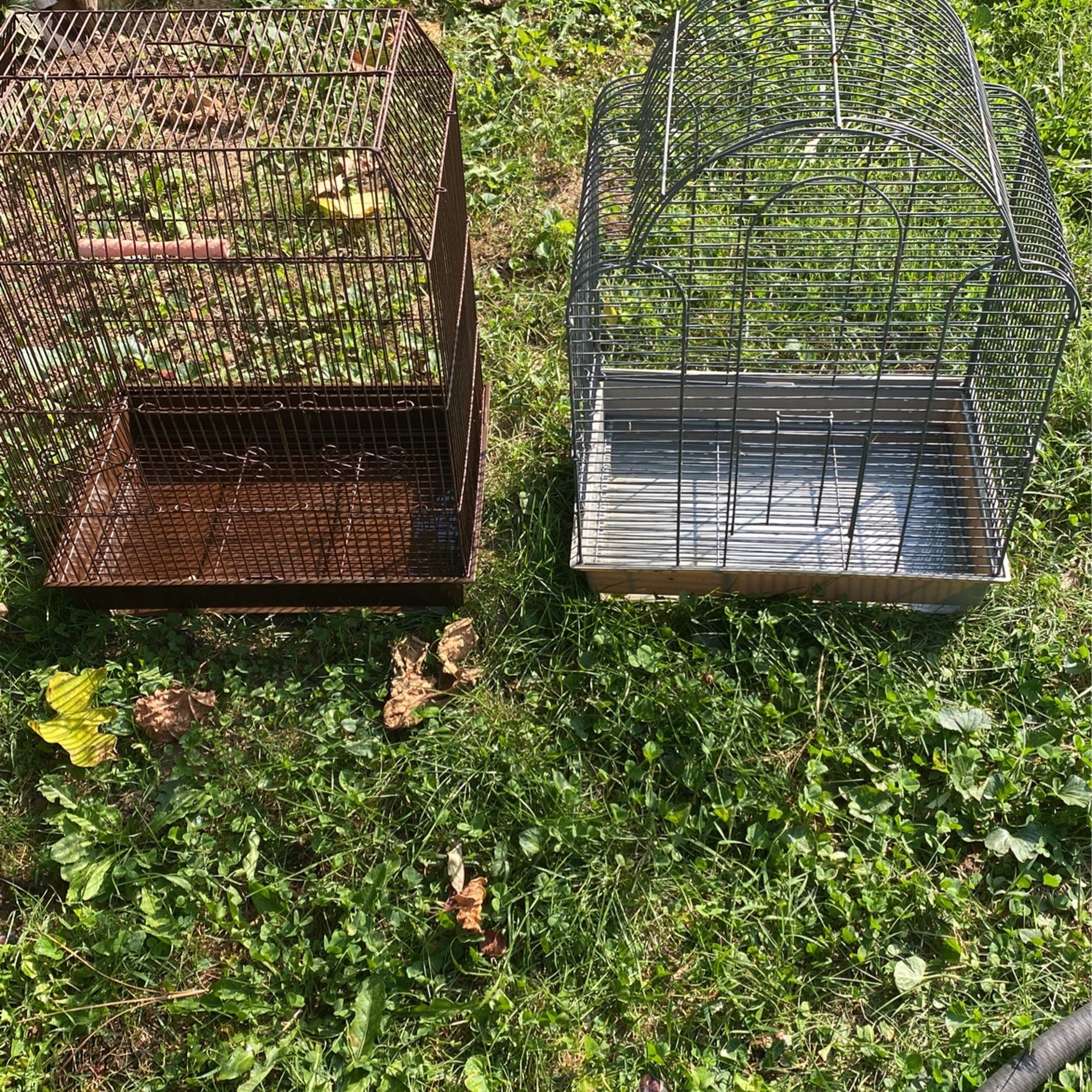 Bird house
