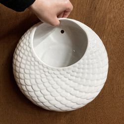 Two planter pots that attach to your wall 