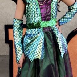 Lil Dragon Costume M(8-10)