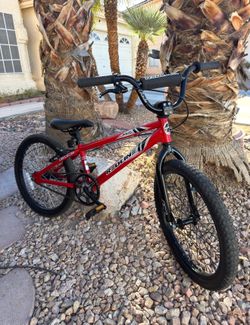 Redline Raid 20” BMX – Excellent Condition – Ready to Ride