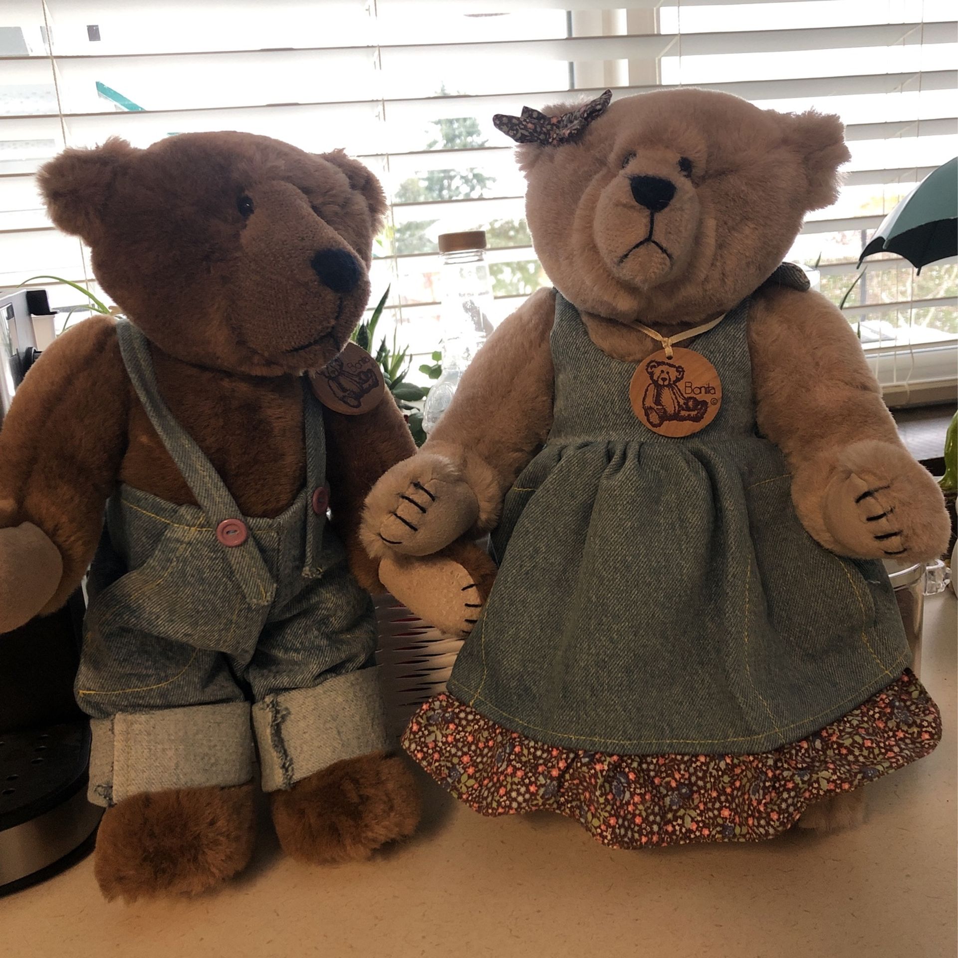 Bonita Bears