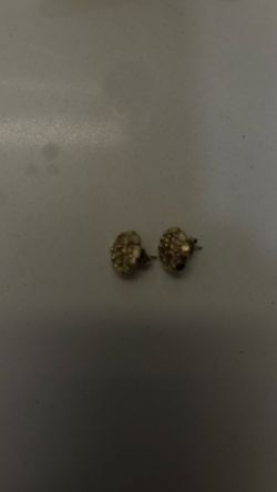 Nugget Ear Rings
