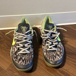 Nike Kobe 8 basketball trainers