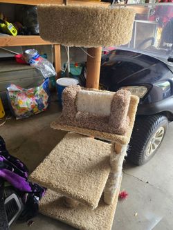 Cat post