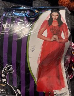 Beetlejuice Lydia Adult Halloween Costume