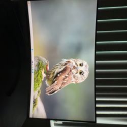 Gaming Monitor🔥240HZ🔥