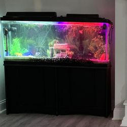 60 Gallon Fish Tank 