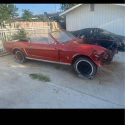 1964 1/2  mustang factory v8 convertible