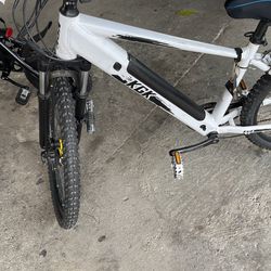 Electric Bike