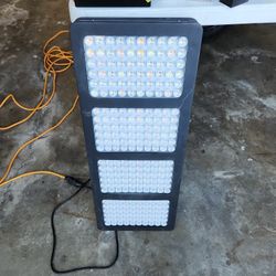 Famurs VEG BLOOM Light