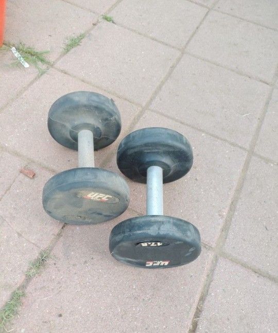 17.5lb Dumbbells Pair