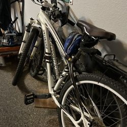 Two bicycles one specialized one Schwinn