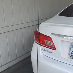 Shimano  Kayak  Fishing  Rod.    LIFETIME WARRANTY 