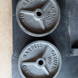 Ivanko 100 Pound Plates