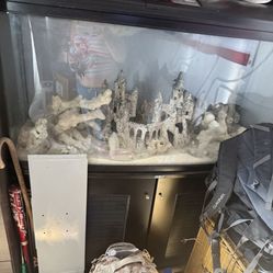 Fish Tank Big With 1000 Assesories 