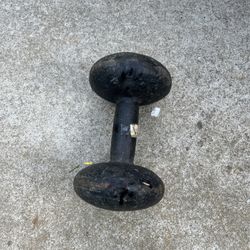 Curling Weights 20 Pounds