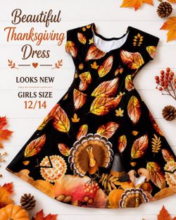 Girls Thanksgiving Dress Size 12/14