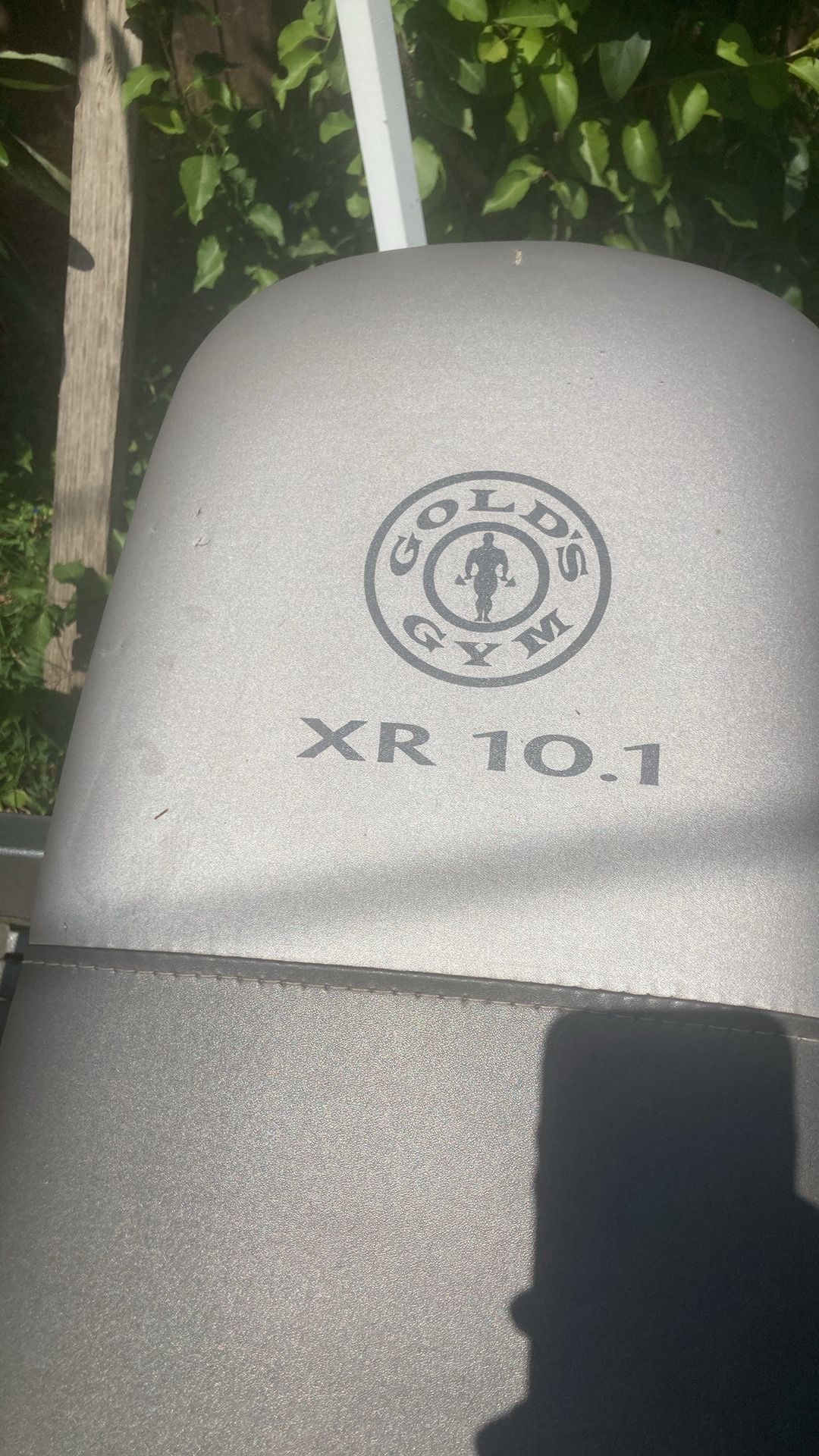 Gold’s Gym Bench Press Only