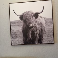 Rustic horse and cow prints with beaiful frame