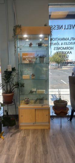 Commercial Glass Display Cabinet Showcase – Retail Store Display