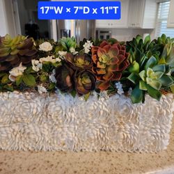 Artisan Artificial Succulent Arrangement In Real Sea Shell Embellished Container