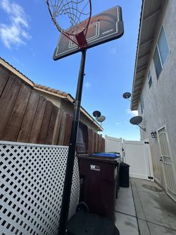 Basketball Hoop