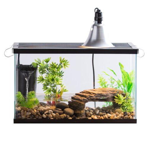 tentoonstelling Illustreren Laan 10 Gallon Fish Tank W/ Basking Platform Heat Lamp Food Pellets Water Filter  for Sale in San Bernardino, CA - OfferUp