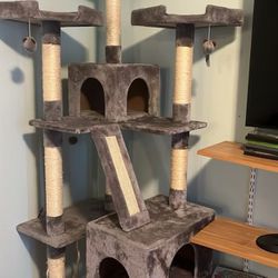 Cat House/Tower