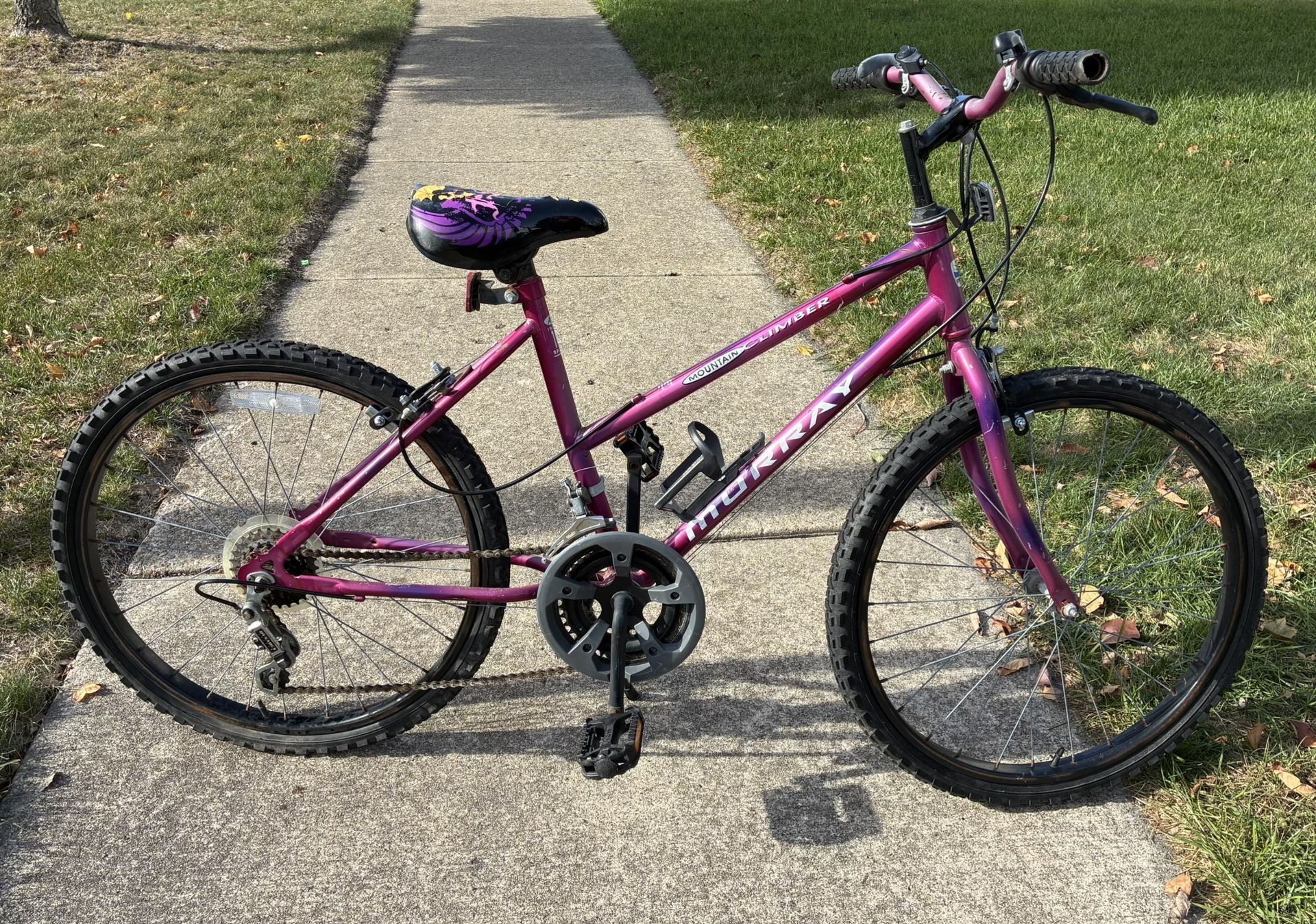 24” Murray Mountain Climber Bike Bicycle   