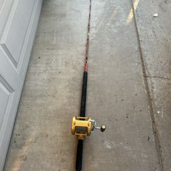 fishing rod 