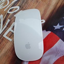 Apple magic mouse, first generation,  wireless Bluetooth.