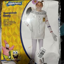 Sandy Costume 