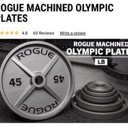 Rogue Gym Equipment and weight set